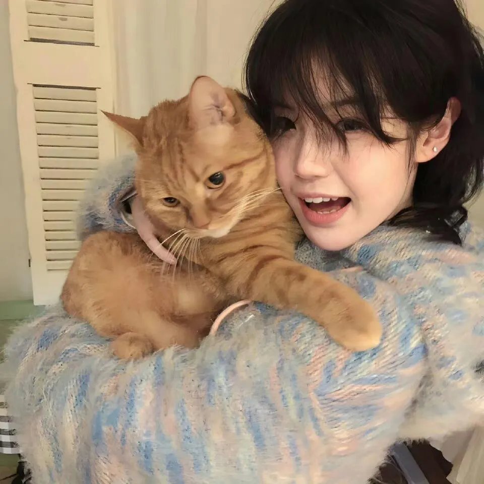 少年泰坦出击大战少年泰坦